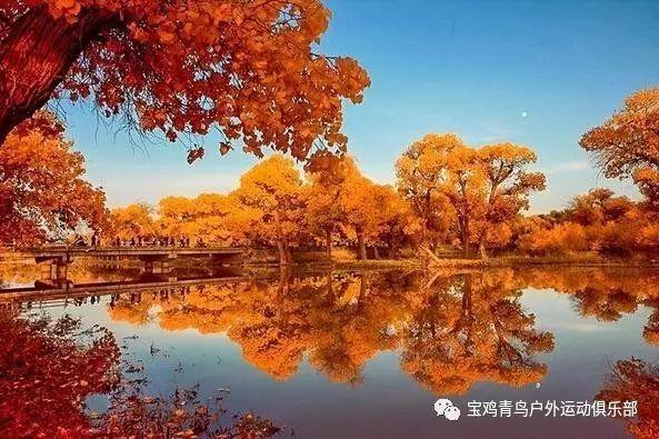 懒羊羊的奇幻世界